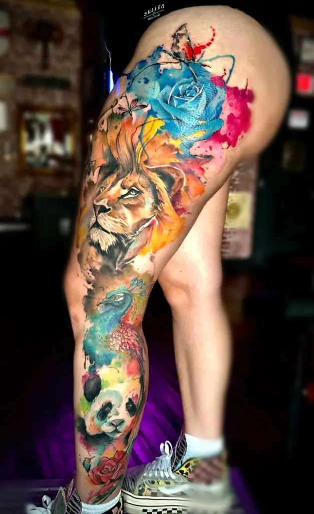 Healed watercolor leg sleeve tattoo featuring a panda, peacock, lion, and wolf, award-winning large scale ink in Boca Raton, Florida.