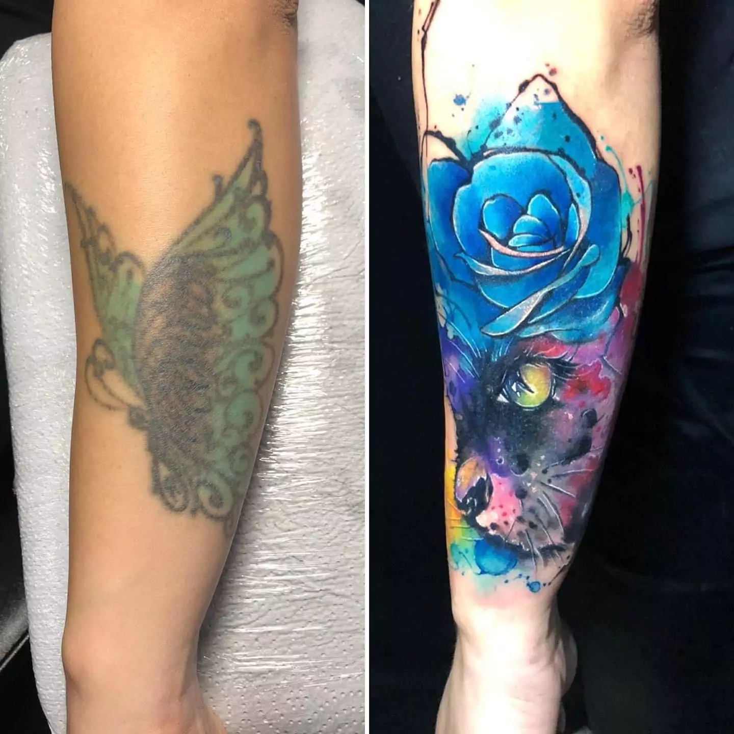 Impressive cover-up tattoo transformation on the forearm featuring a vibrant watercolor blue rose and black cat portrait, masking old ink, by a tattoo specialist in Boca Raton, Florida.